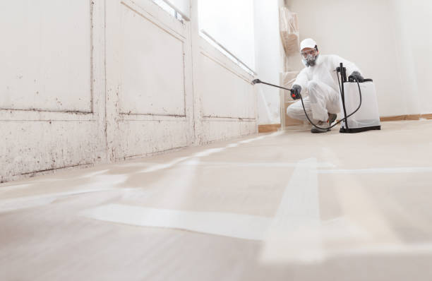 24/7 Emergency Mold Remediation experts in Severance, CO