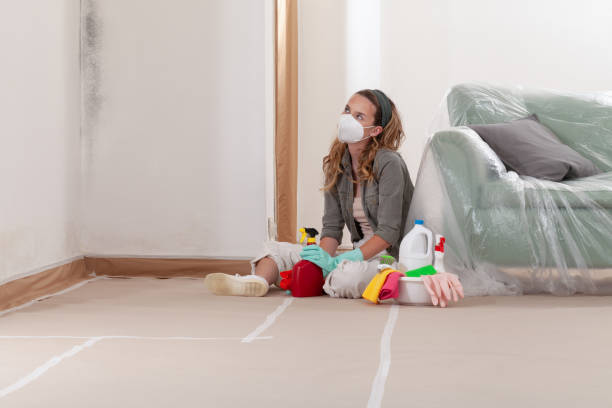Reliable Mold Remediation contractor in Severance, CO by 24 Hour Mold Removal